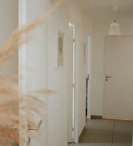 Spacieux T3+terrasse *